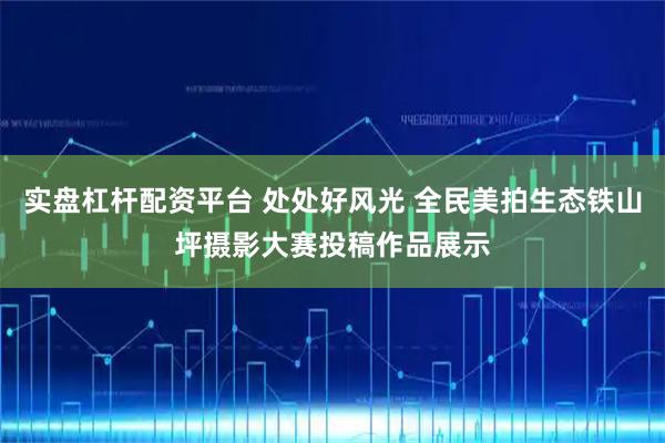 实盘杠杆配资平台 处处好风光 全民美拍生态铁山坪摄影大赛投稿作品展示
